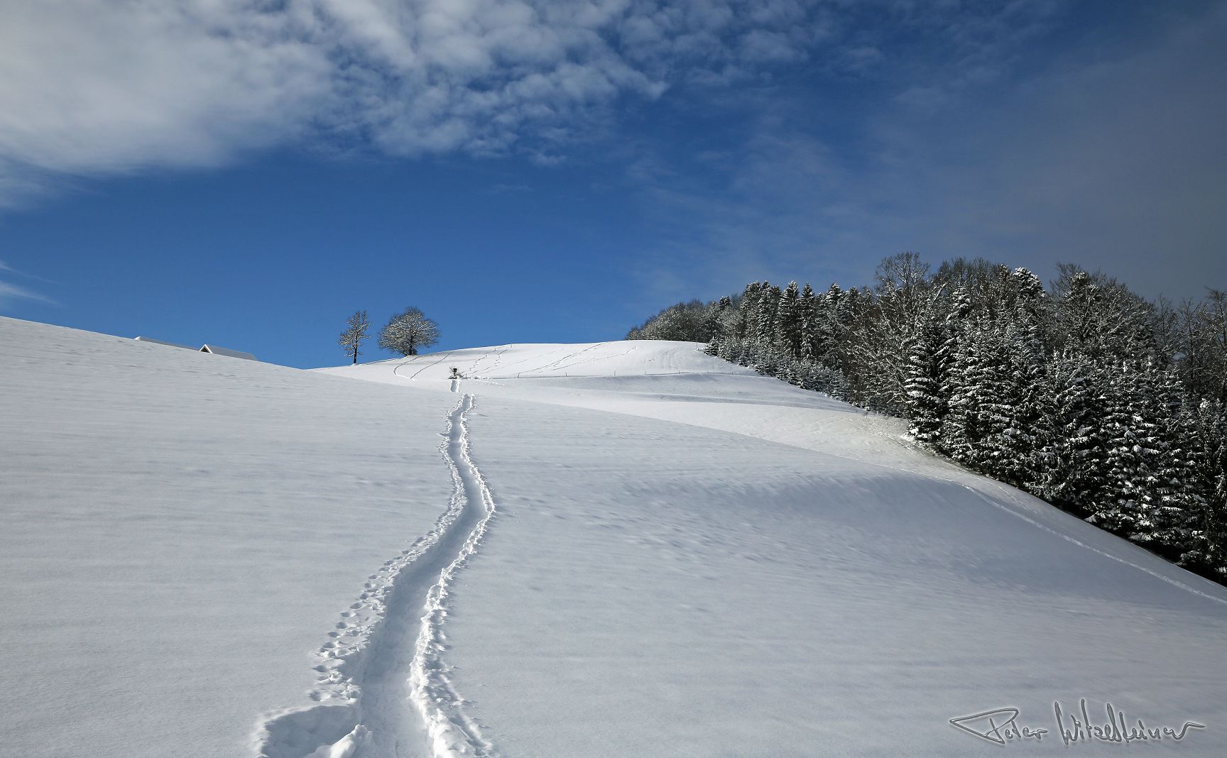 mondsee-im-winter30